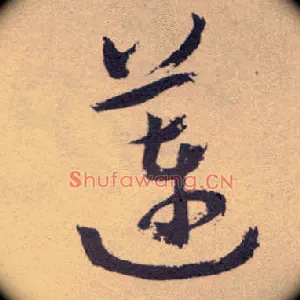 莲