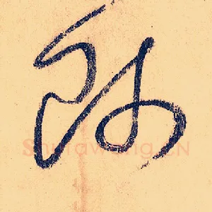 师