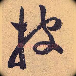 披