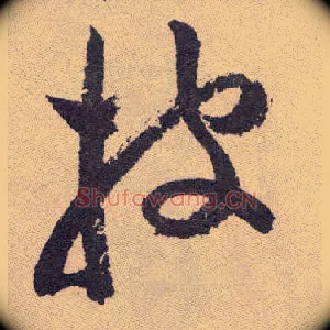 披