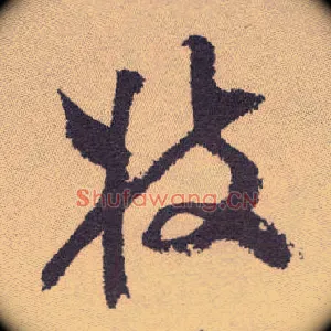 枝