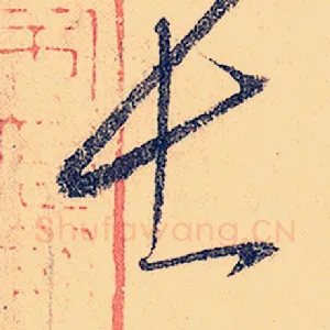 士