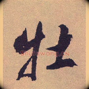 牡