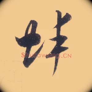 蚌