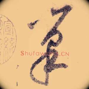 巢