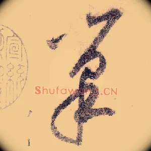 巢