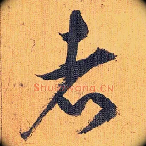 者
