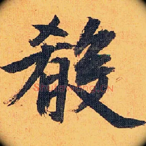 肴