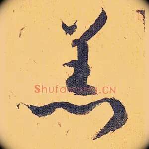 羔