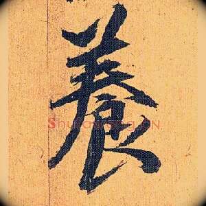 養