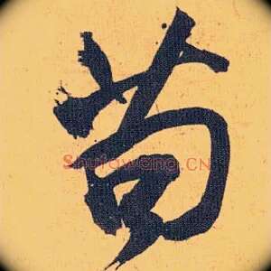 苟