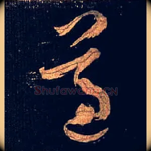 遵