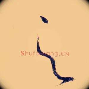 之
