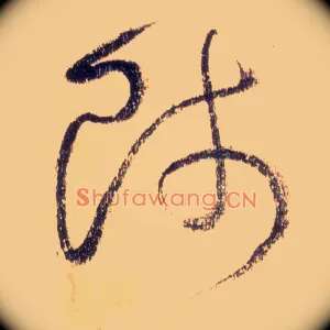 师