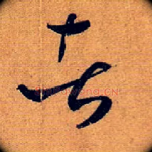 者