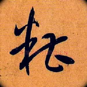 糟