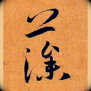 藻