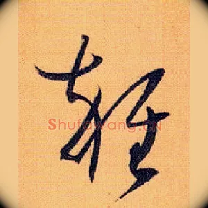 杂