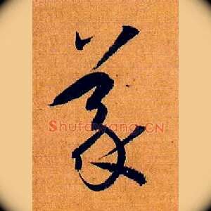 义