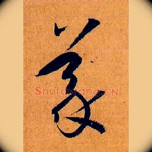 义