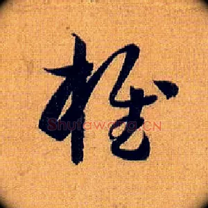 椎