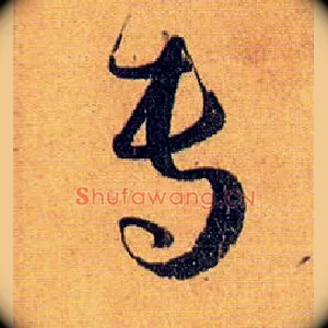 专