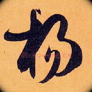 杨