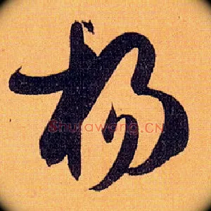 杨