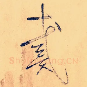 戴