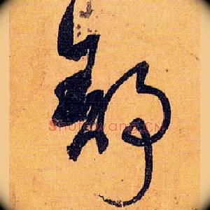 舒