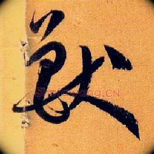 兽