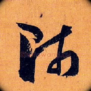 师