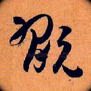 玩