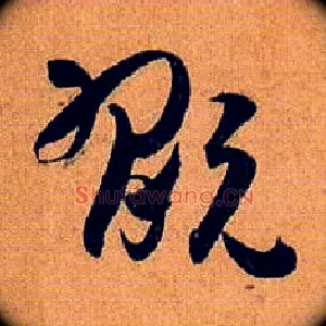 玩