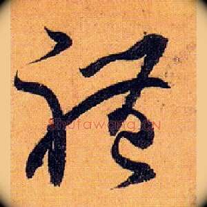 体