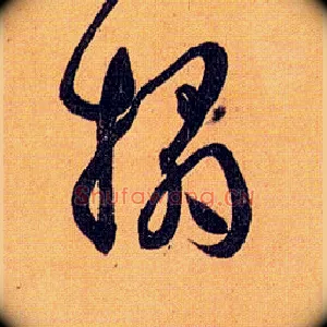 拓