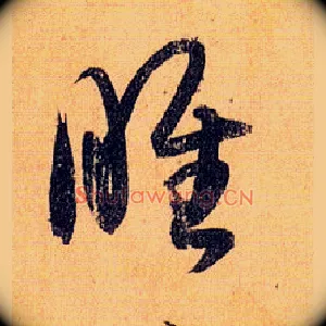 睢