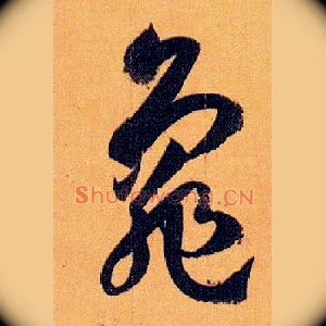 龟