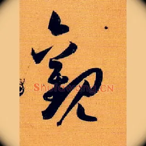 观