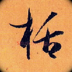 栝