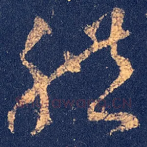 体