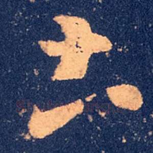 土