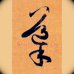 导