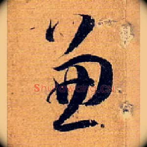 兼