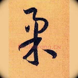 柔