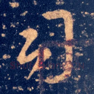 司