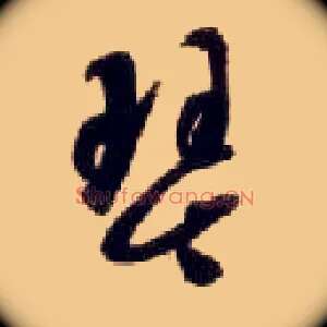 琴