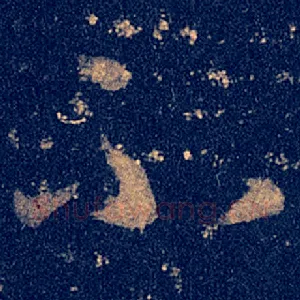 不