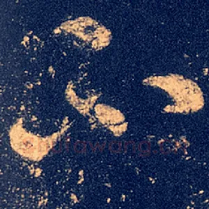不