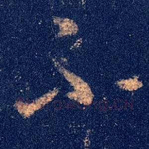 不